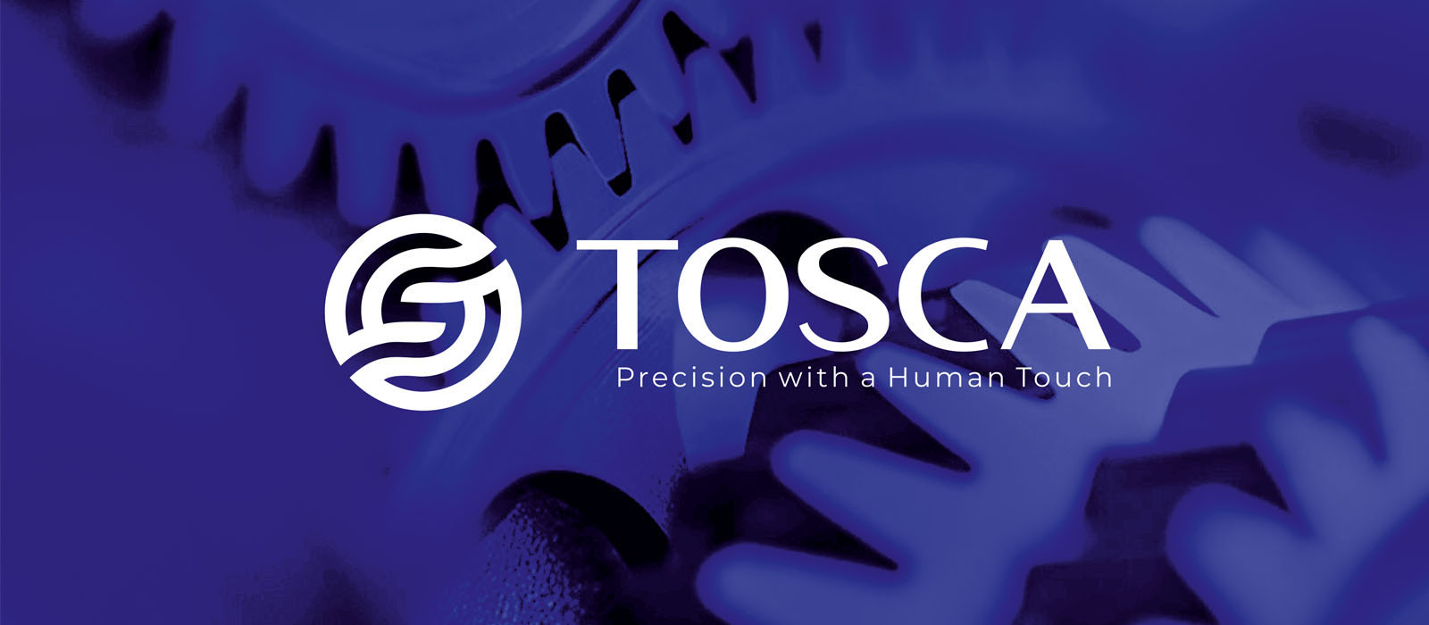 Brand Identity Case Study: Tosca banner